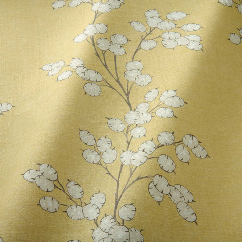 Linwood Lottie Dijon