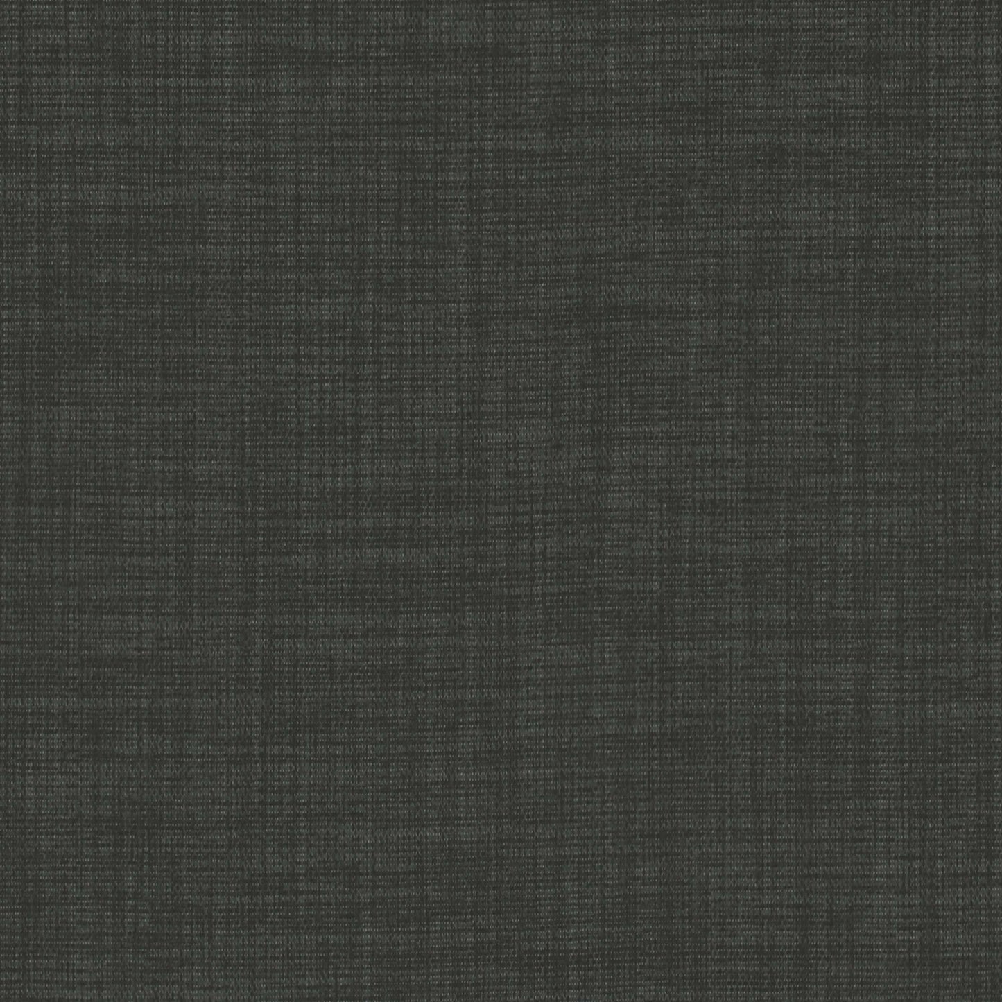 Warwick Fortywinks Coal