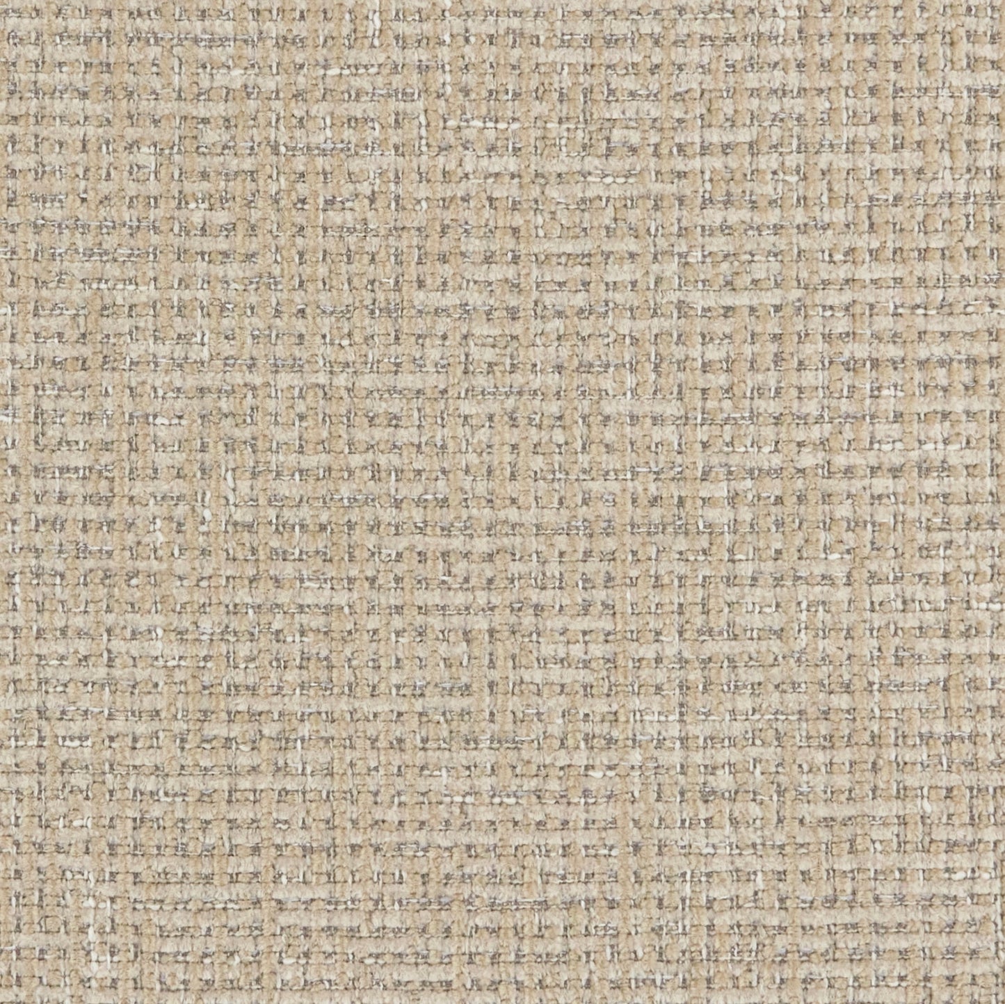 Warwick Gabba Oatmeal