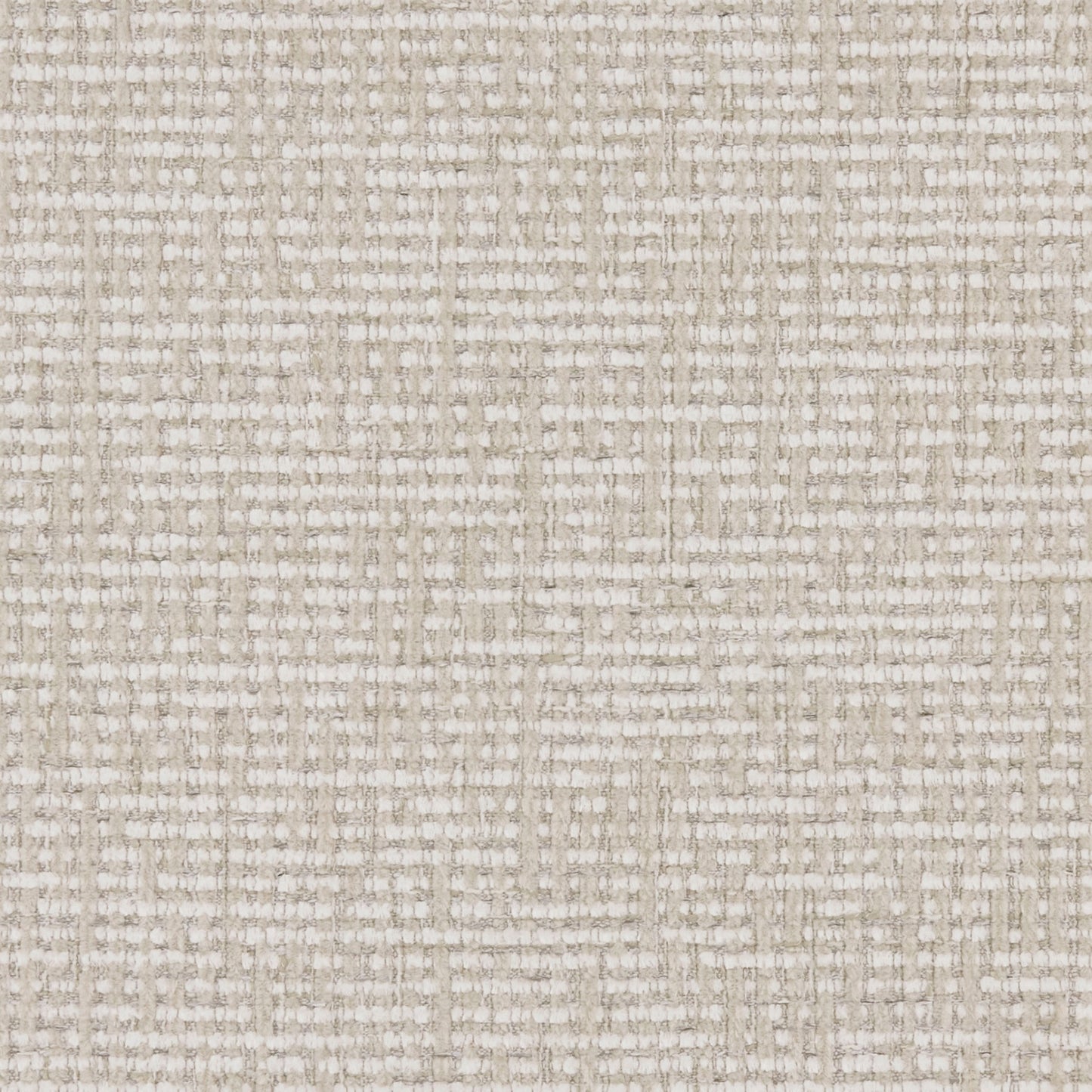 Warwick Gabba Oyster