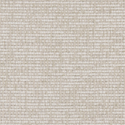 Warwick Gabba Oyster