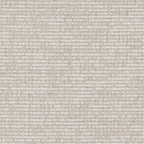 Warwick Gabba Oyster