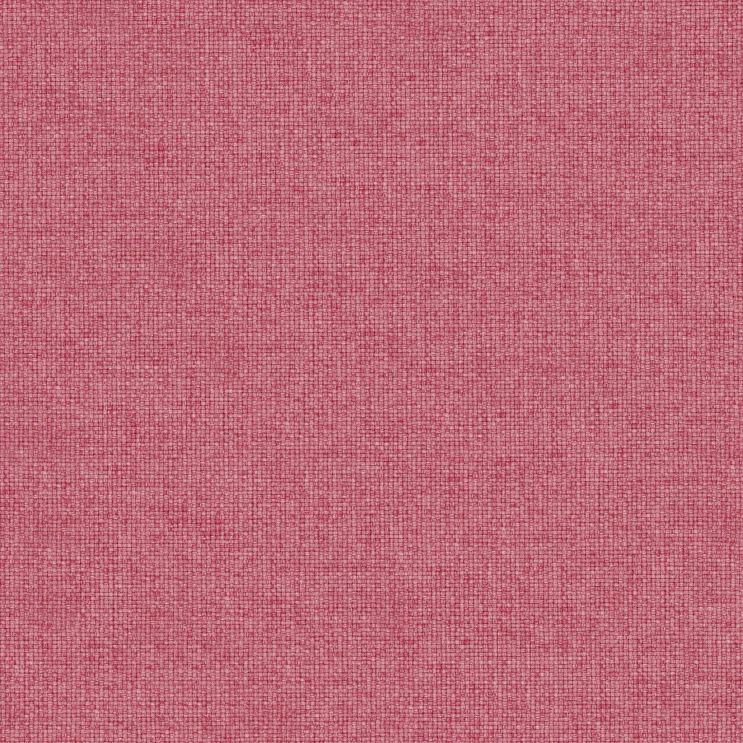 Warwick Genoa Popsicle