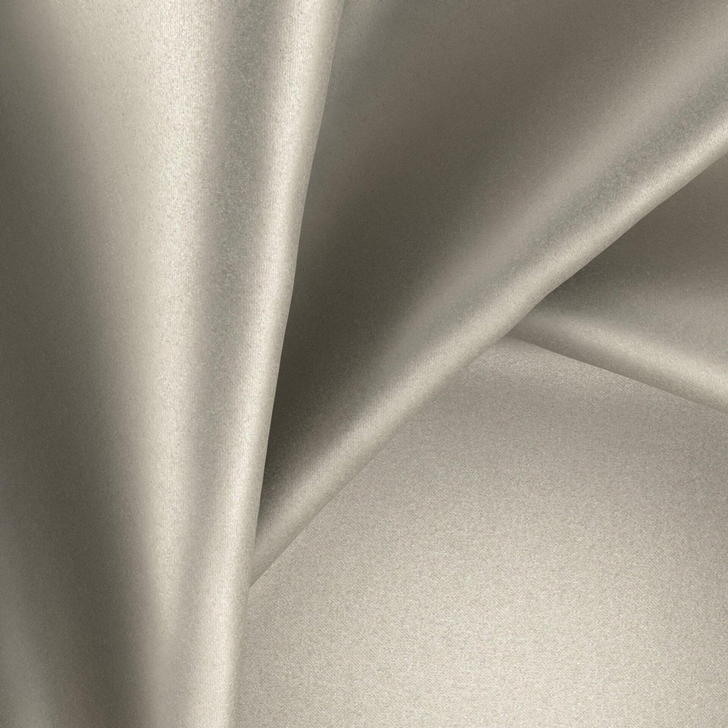 Warwick Glossy Fossilite