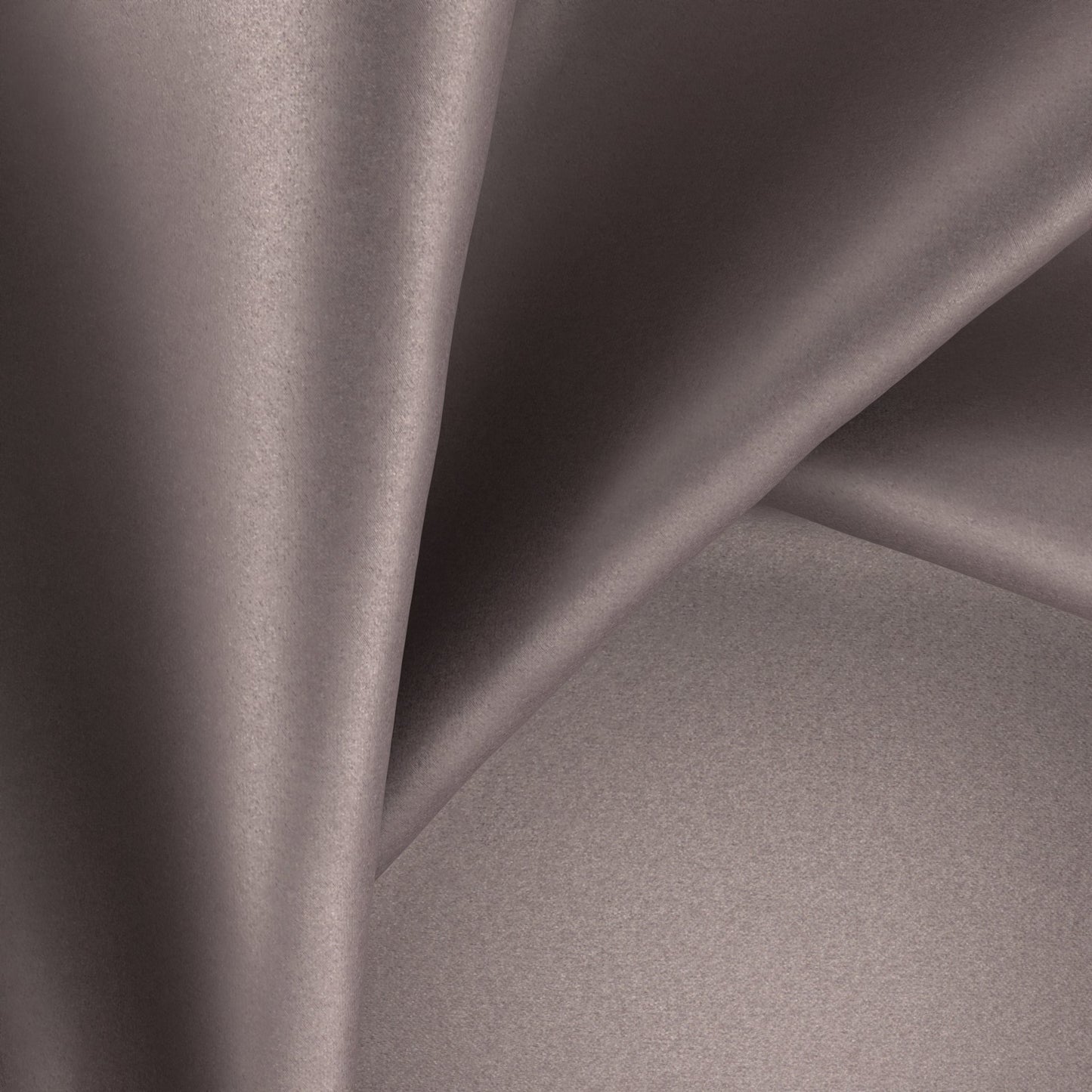 Warwick Glossy Morel