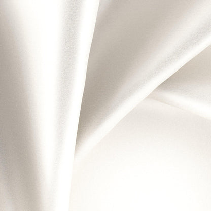 Warwick Glossy Organza