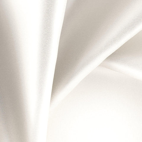 Warwick Glossy Organza