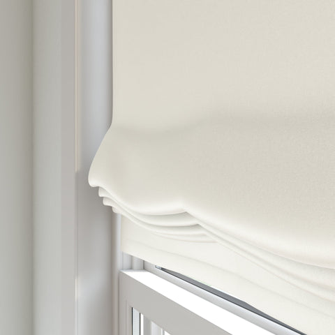 Warwick Glossy Oyster