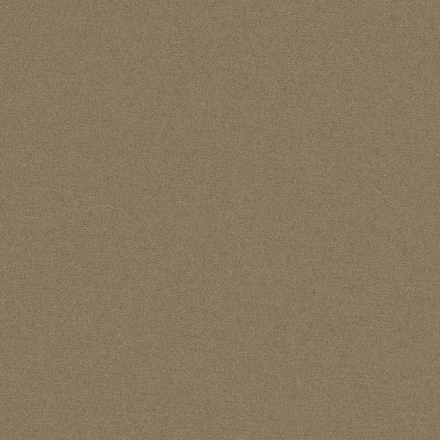Warwick Glossy Sorrel