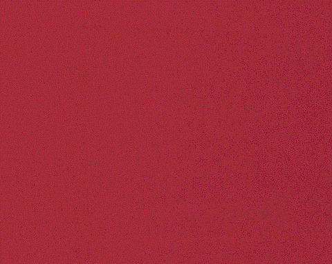 Harlequin Allegra Cherry