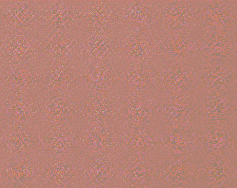 Harlequin Allegra Postiano