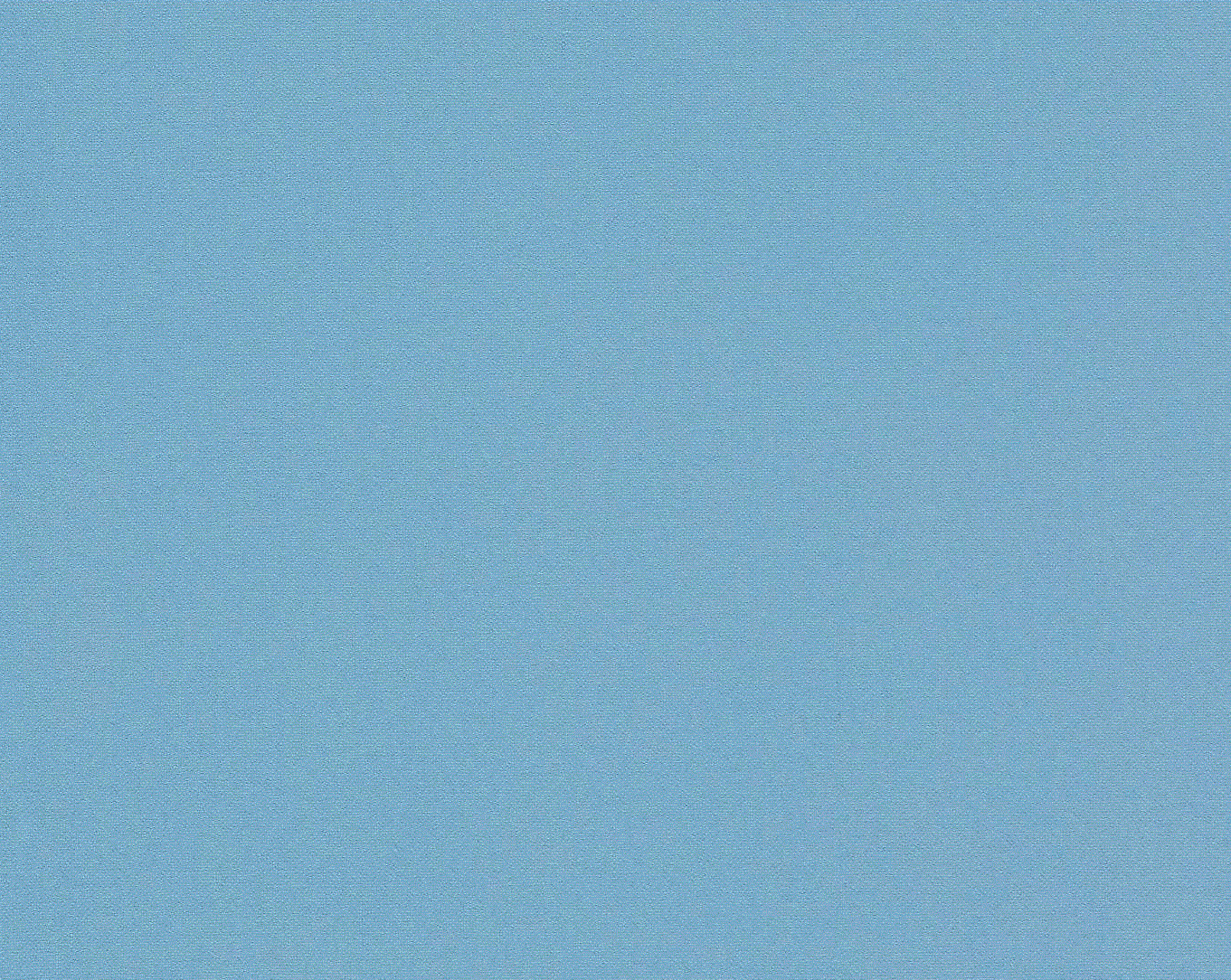 Harlequin Allegra Hydrangea