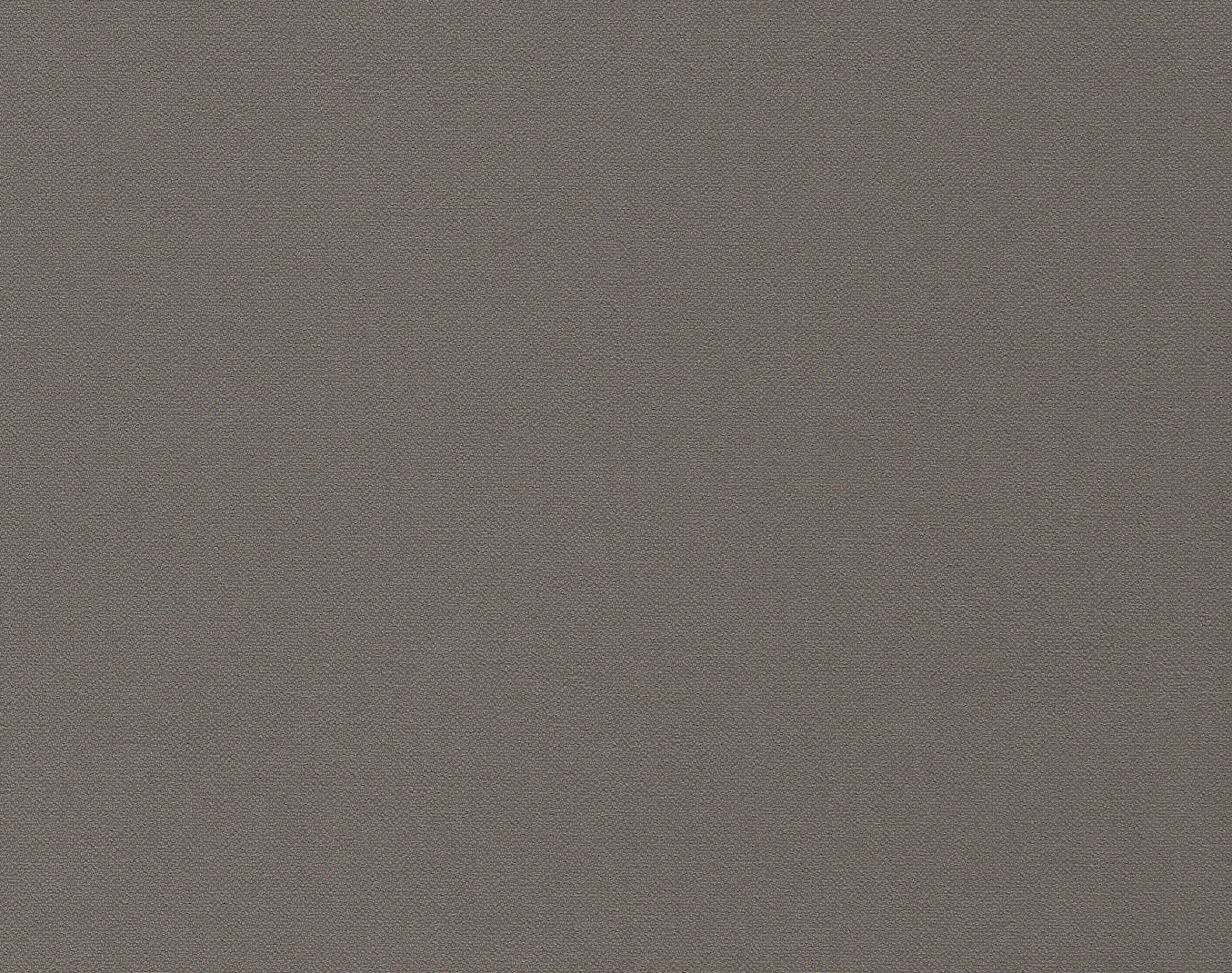 Harlequin Allegra Pigeon