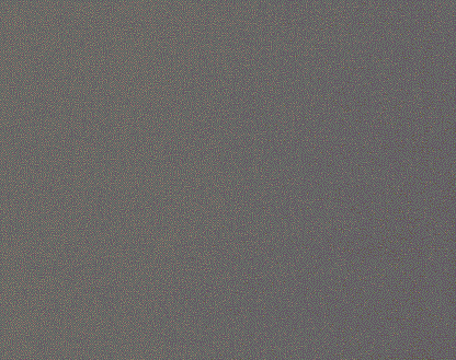 Harlequin Allegra Pigeon