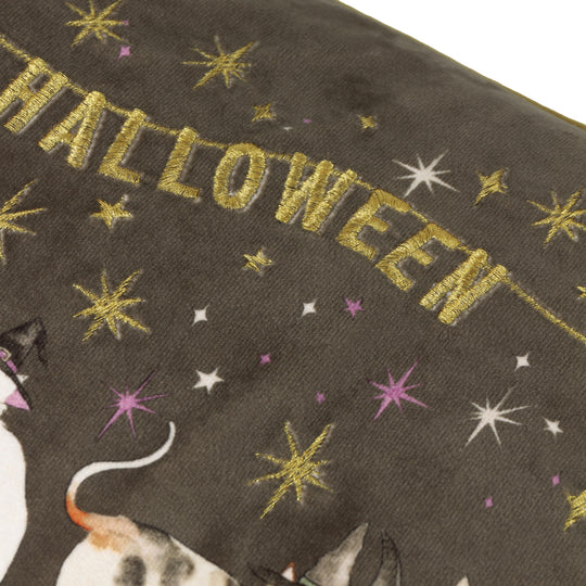 Riva Home Halloween Pawty Embroidered Velvet Cushion Multicolour