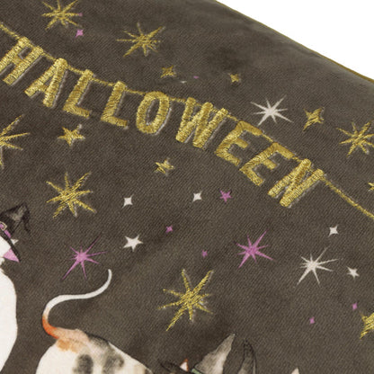 Riva Home Halloween Pawty Embroidered Velvet Cushion Multicolour