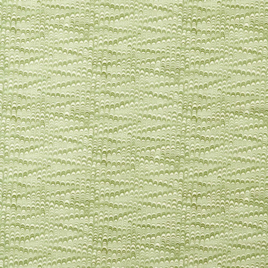 Harlequin Washi Matcha
