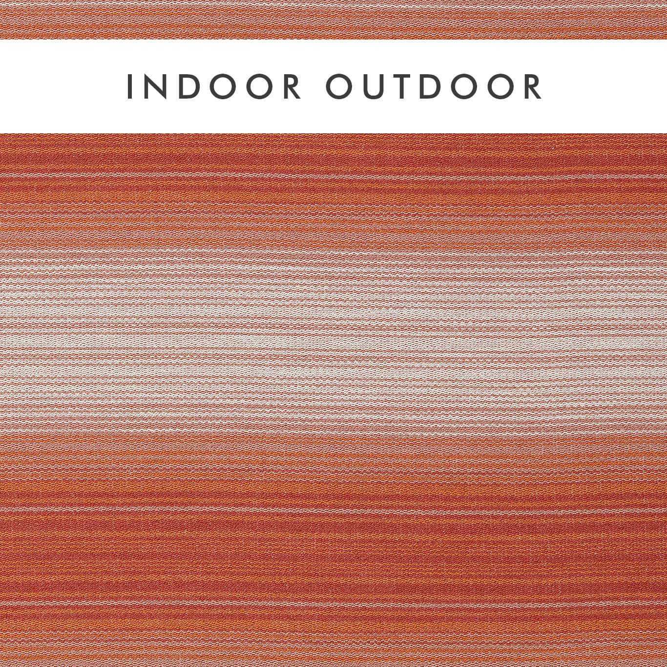 Harleqiuin Amaris Clementine/Rhubarb Outdoor