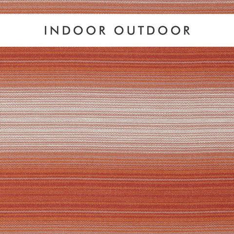 Harleqiuin Amaris Clementine/Rhubarb Outdoor