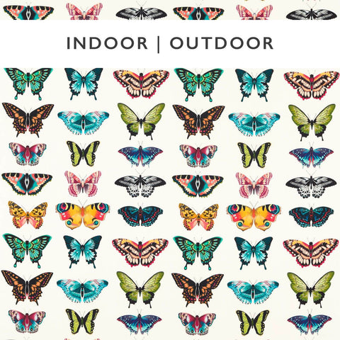 Harleqiuin Papilio Flamingo/Papaya/Loganberry Outdoor