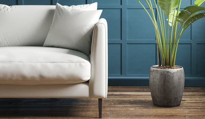 Warwick Splash-Eco Conifer