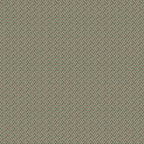 Warwick Horton Cascade