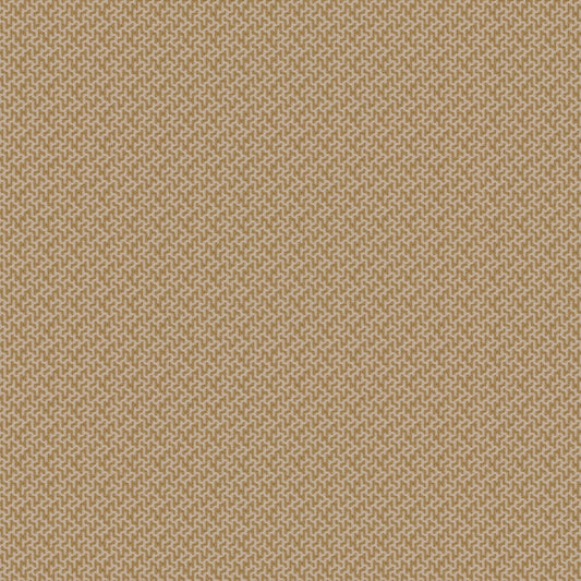 Warwick Horton Sandytan