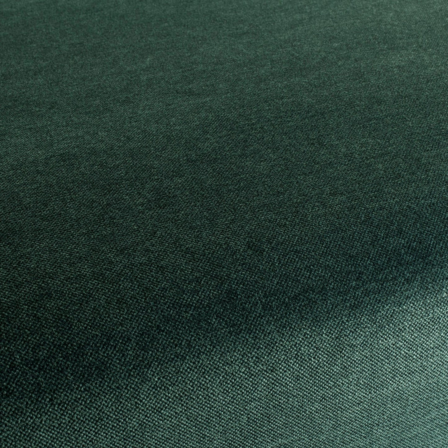 Jab Anstoetz Dan Colour 13