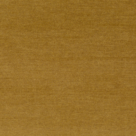 Jab Anstoetz Dan Colour 41