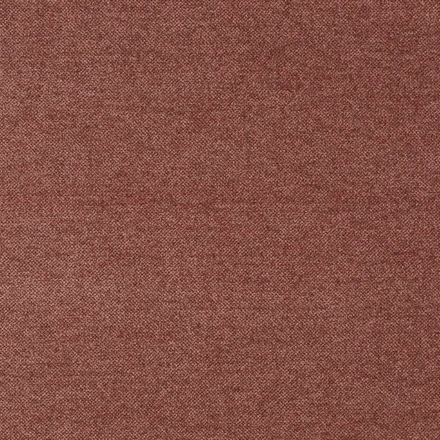 Jab Anstoetz Dan Colour 25