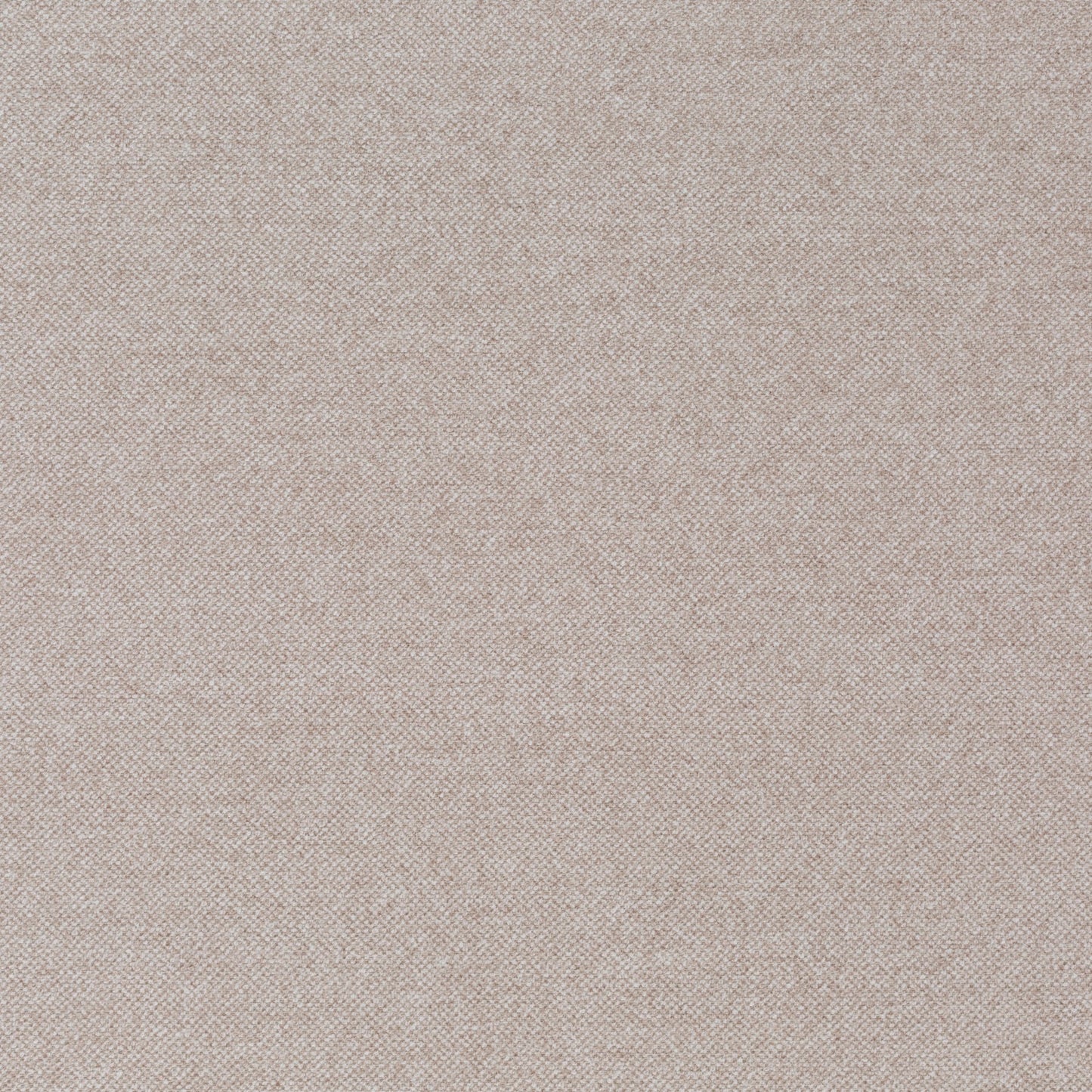 Jab Anstoetz Dan Colour 5