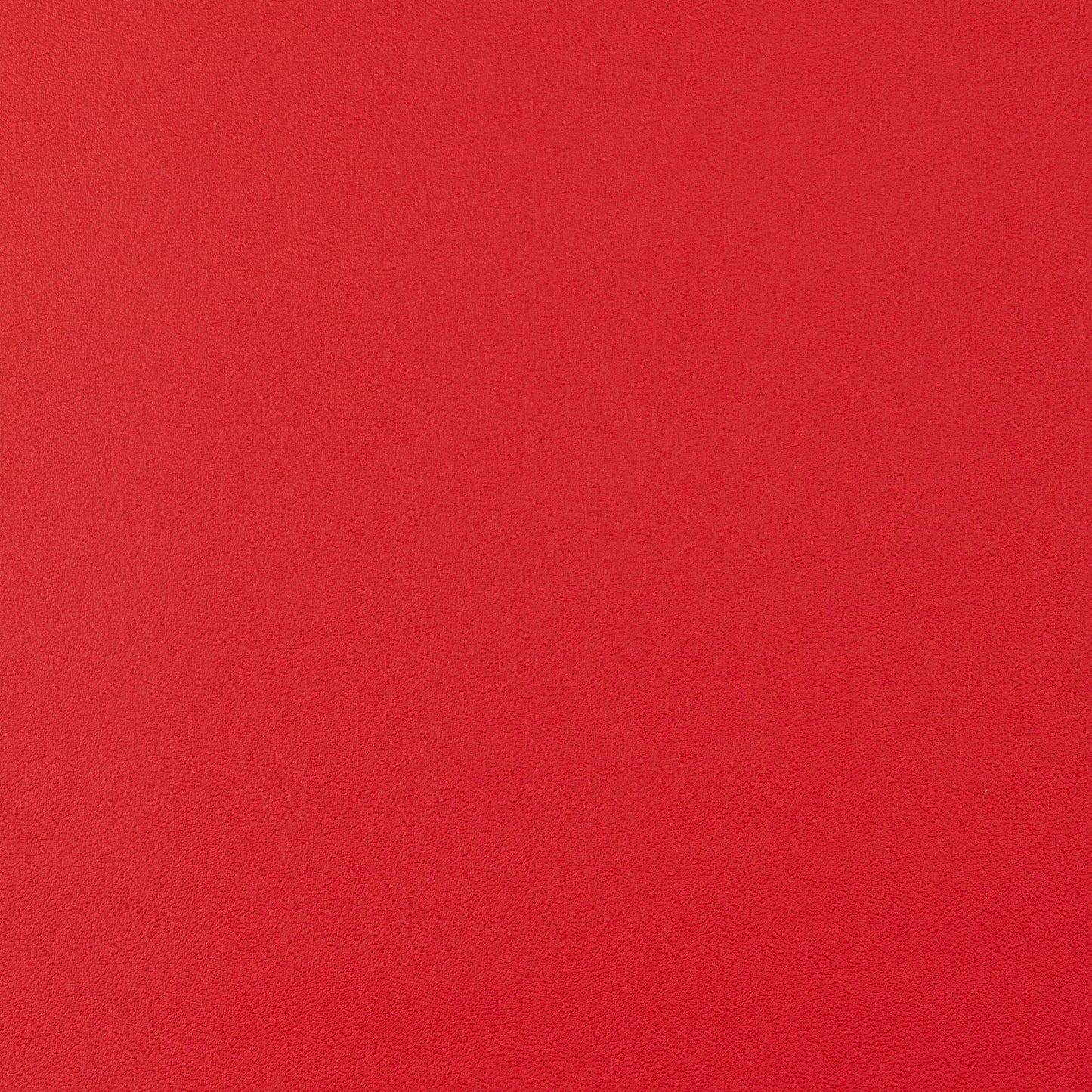 Jab Anstoetz Gauchito Colour 29