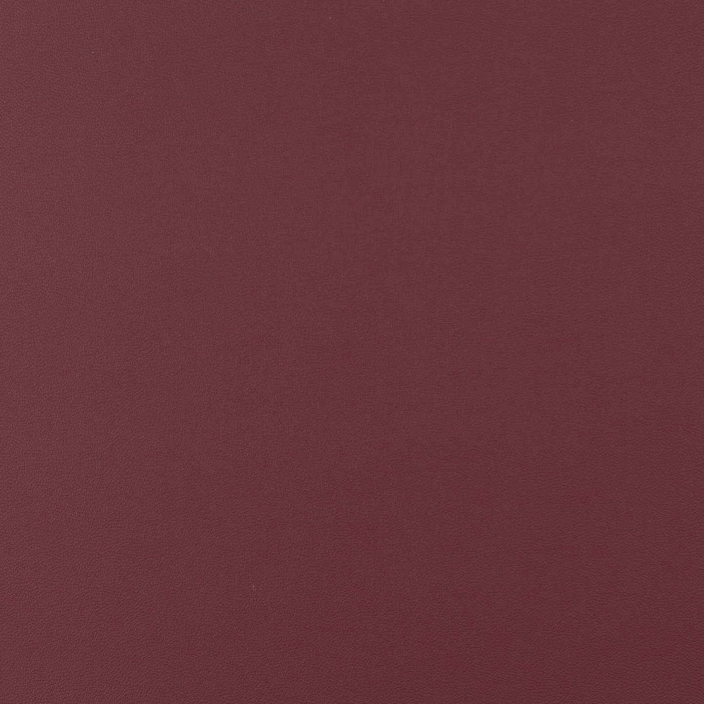 Jab Anstoetz Gauchito Colour 31