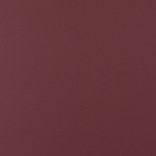 Jab Anstoetz Gauchito Colour 31