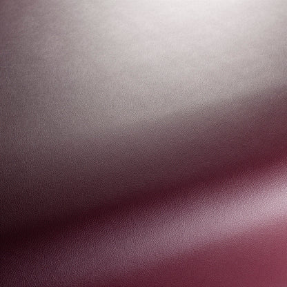 Jab Anstoetz Gauchito Colour 31