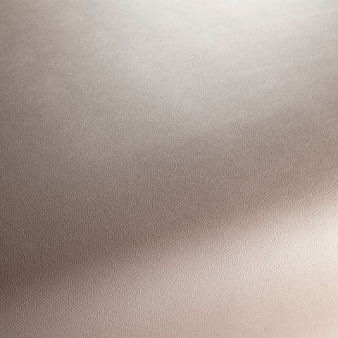 Jab Anstoetz Gauchito Colour 38