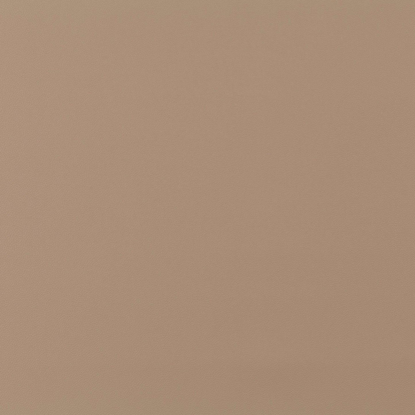 Jab Anstoetz Gauchito Colour 40