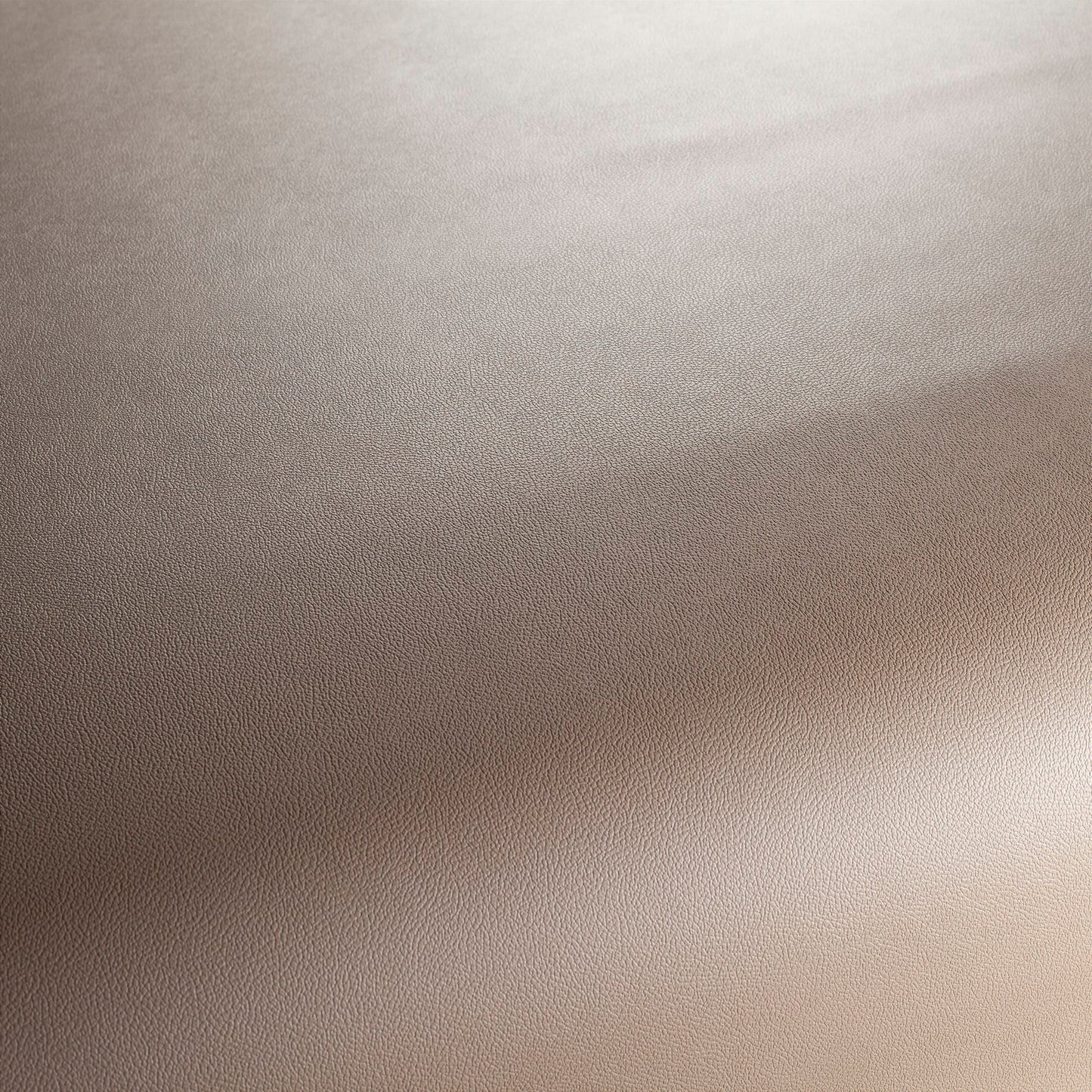 Jab Anstoetz Gauchito Colour 40