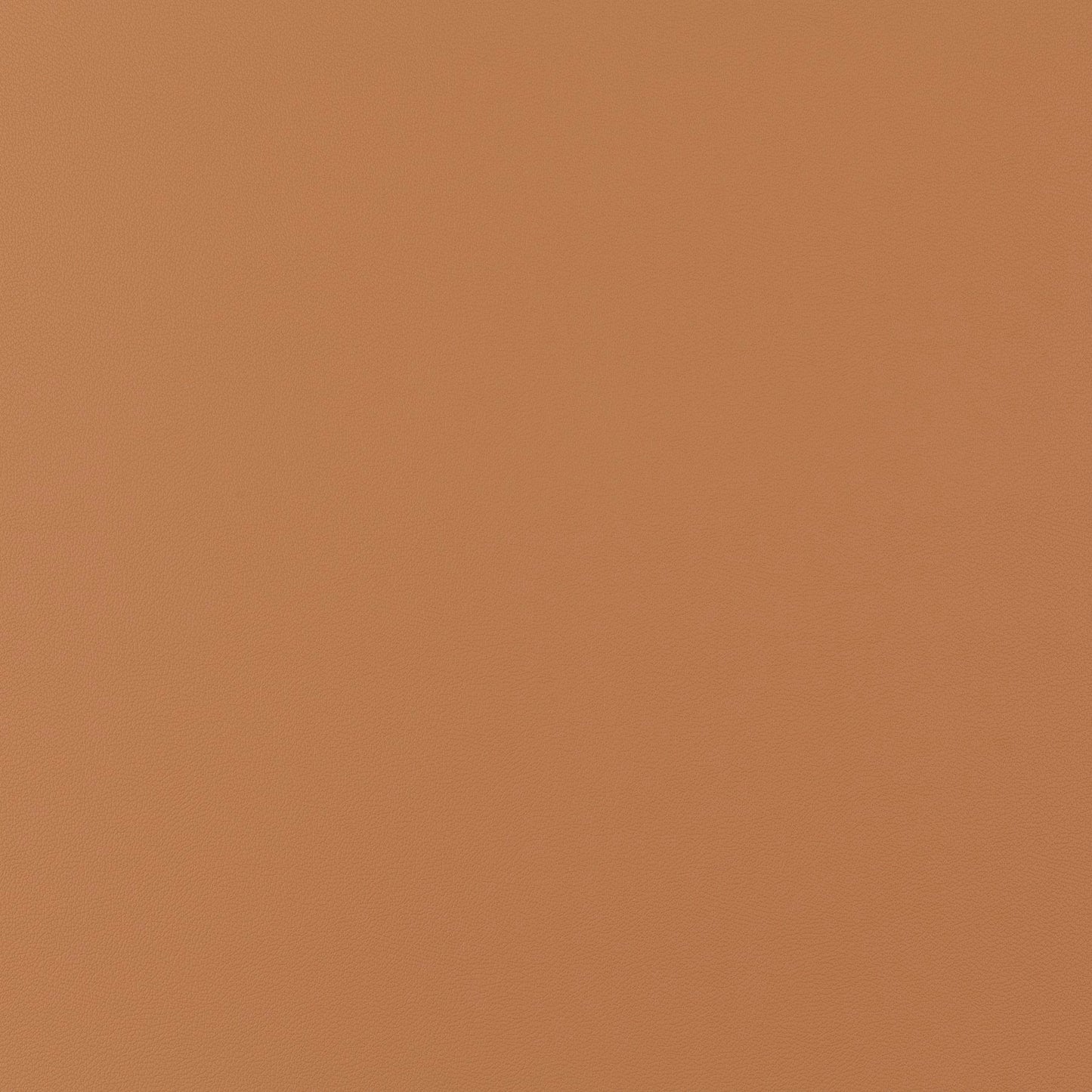 Jab Anstoetz Gauchito Colour 39