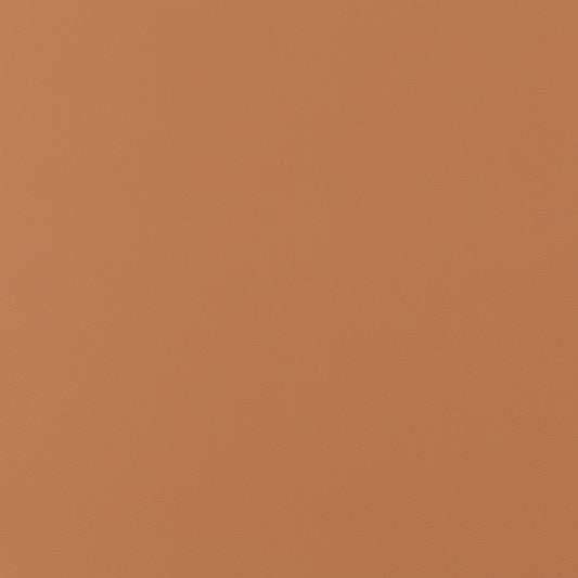 Jab Anstoetz Gauchito Colour 39