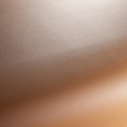 Jab Anstoetz Gauchito Colour 39