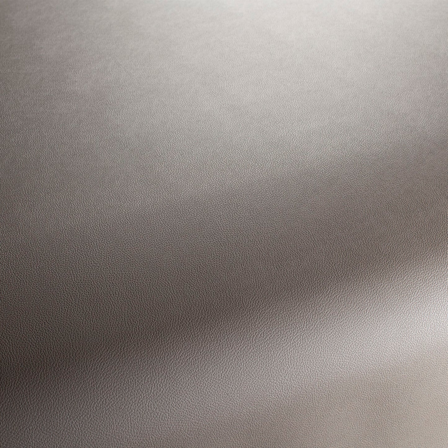 Jab Anstoetz Gauchito Colour 42