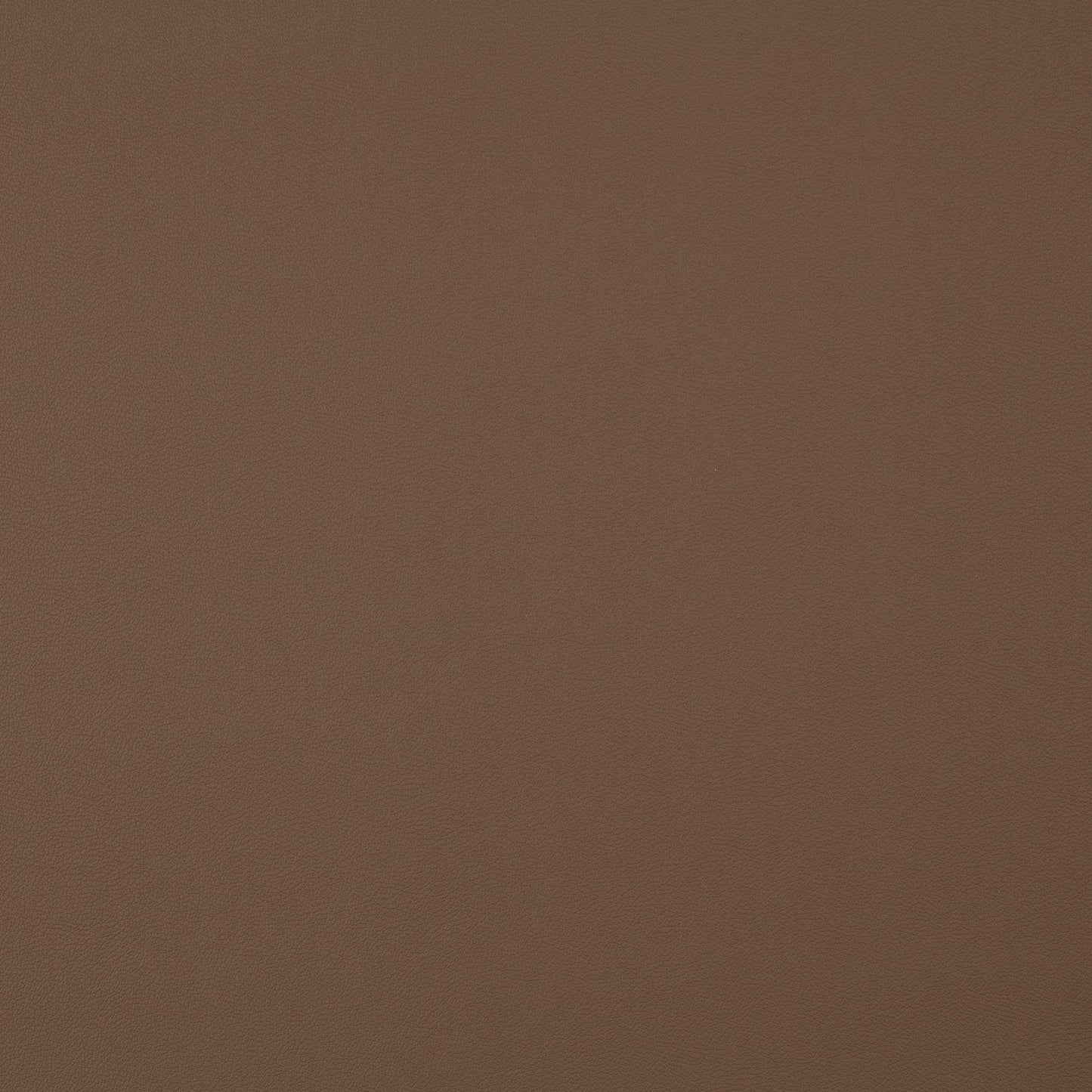 Jab Anstoetz Gauchito Colour 44