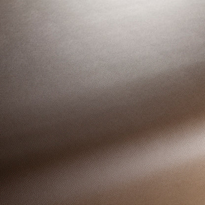 Jab Anstoetz Gauchito Colour 44