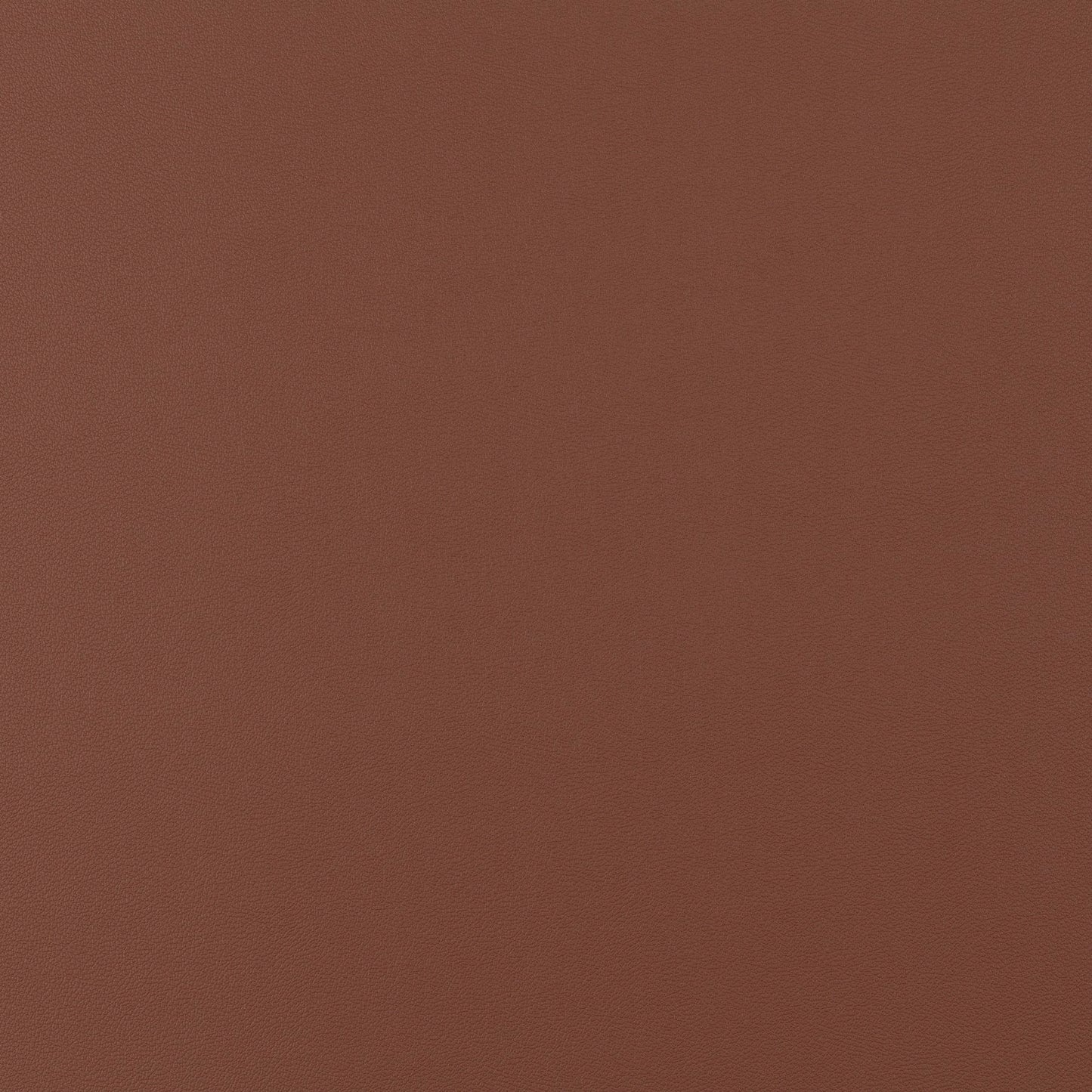 Jab Anstoetz Gauchito Colour 43