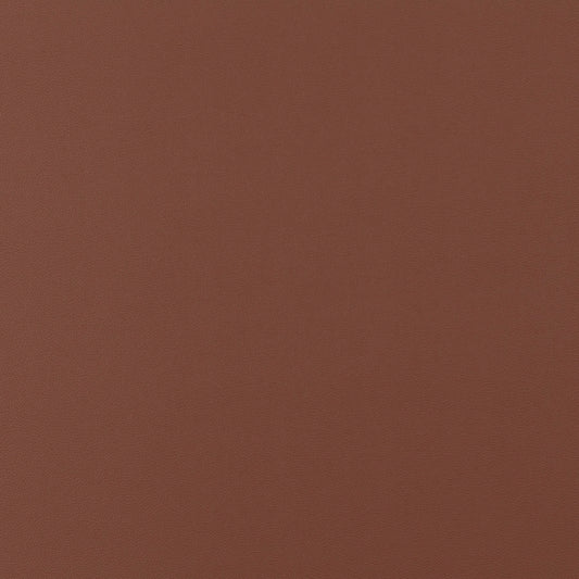 Jab Anstoetz Gauchito Colour 43