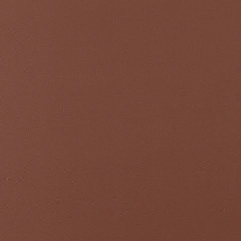 Jab Anstoetz Gauchito Colour 43