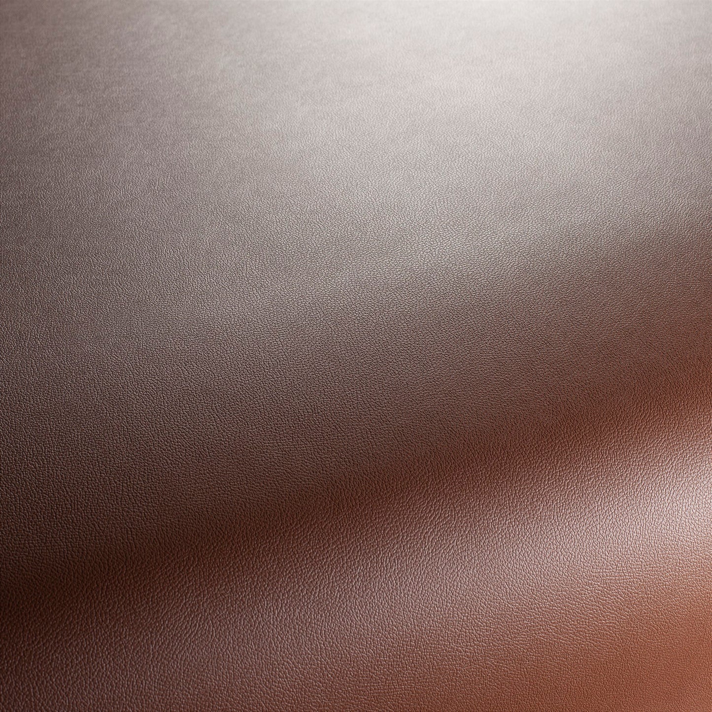 Jab Anstoetz Gauchito Colour 43