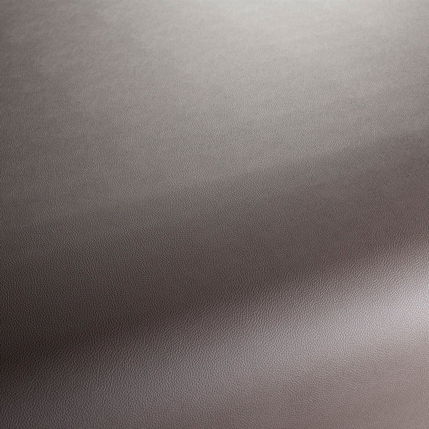 Jab Anstoetz Gauchito Colour 45