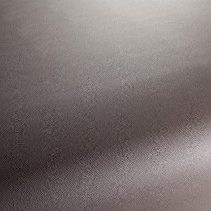 Jab Anstoetz Gauchito Colour 45